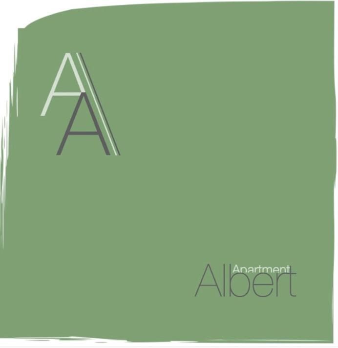 Apartment Albert Καρκασόν Εξωτερικό φωτογραφία