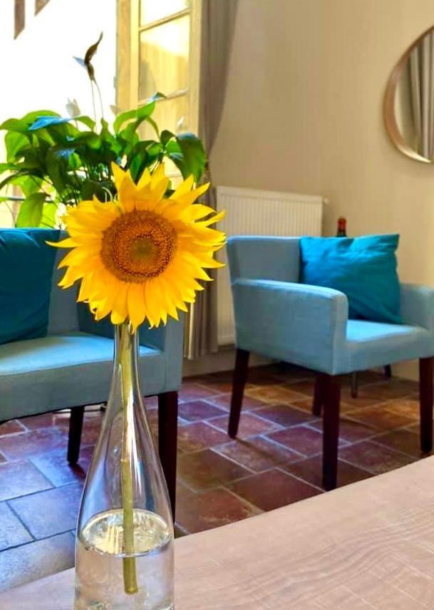 Apartment Albert Καρκασόν Εξωτερικό φωτογραφία